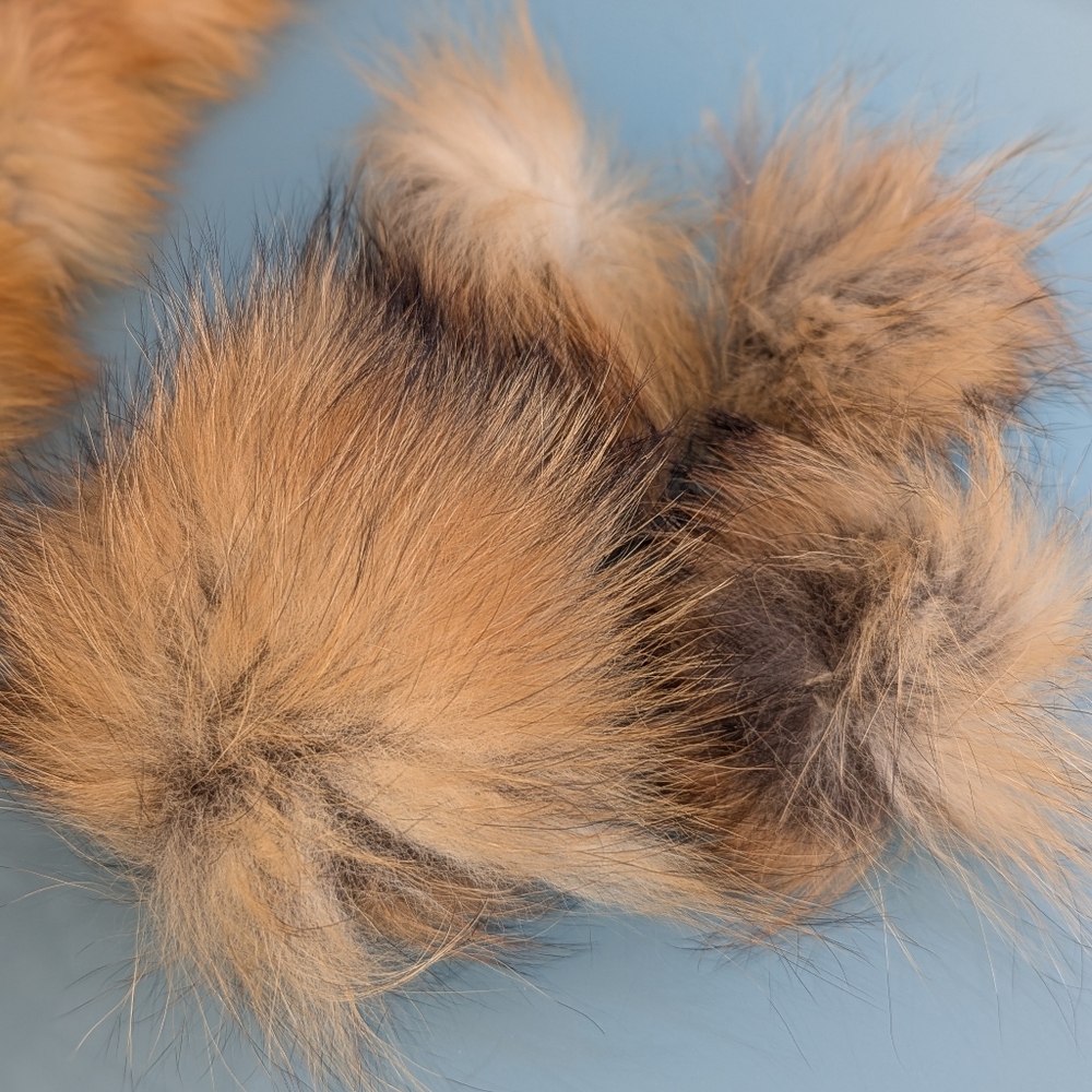 Red Fox Fur Pelt - Tanned Taxidermy, Oddities, Man Cave, Hunting Cabin Decor - Picture 6 of 14